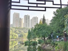 -重庆彩云湖湿地公园