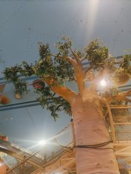 -卡通尼·Safari非洲探索乐园·生日会(金桥国际商业广场店)