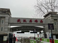 -武汉关码头(轮渡站)