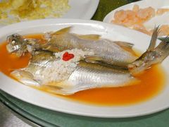 -老人和饭店(打浦路店)
