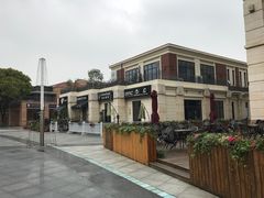 -吉丁鸟咖·异宠·寄养