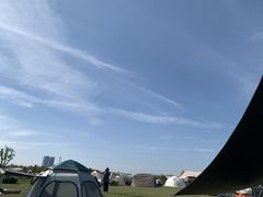 -春花秋色城市公园