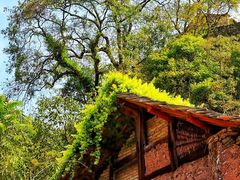 -高荡千年布依古寨旅游景区