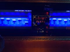 -温莎KTV(珠江路店)