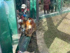 -西安秦岭野生动物园