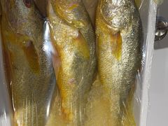 -赶海部落海鲜城(海阳路店)