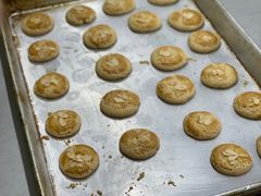-顺德职业技术大学