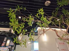 -大榕树下顺德菜(融创茂店)