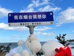 -海岛日记(养马岛店)