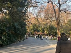 -灵谷景区