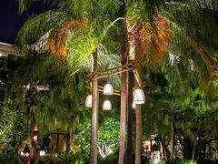 -厦门日月谷温泉渡假村