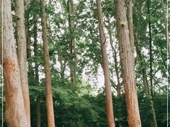 -雨花台烈士纪念馆