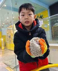 -神奇动物撸宠馆·羊驼·小浣熊·异宠(豫园店)