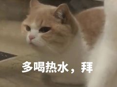 -赤宴·川菜(玉林店)