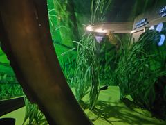 -上海海洋水族馆