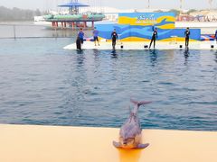 -秦皇岛乐岛海洋王国