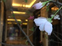 -碧桂园凤凰城酒店(南京店)