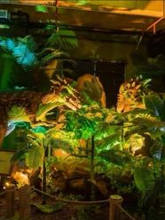 点击看大图 -恐龙探索乐园(磁器口店)