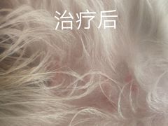 -芭比堂宠物医院·全科爱猫医院·仁德分院