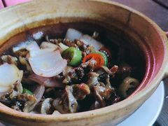 -探吃·美食潮玩汇