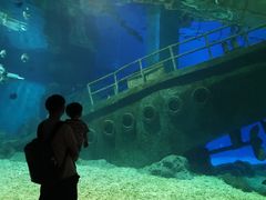 -福州罗源湾海洋世界旅游区