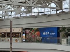-金鹰国际购物中心(江都店)