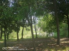 -蜀冈西峰生态公园