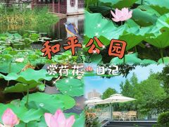 -黄兴公园