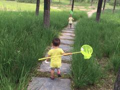 -北京麋鹿生态实验中心