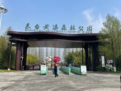 -黄海国家森林公园