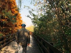 -溱湖国家湿地公园