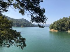 -广州市流溪河国家森林公园
