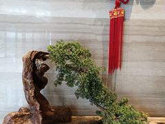 -华雅·云缦酒店(岳阳楼区火车站店)