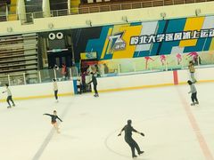 -松江大学城体育馆滑冰馆