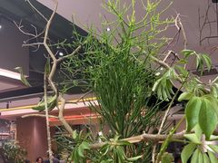 -山缓缓火锅(苏州仁恒仓街店)