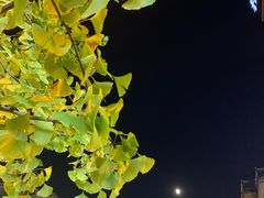 -翁大胖媽媽菜(银海店)