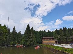 -武陵山森林公园