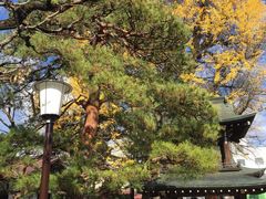 -医王山·飞騨国分寺