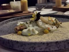 柑橘腌带子-哈布斯扒房(华发商都店)