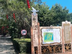 -大湾区中央湿地公园