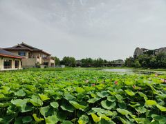 -大千天鹅湾温泉