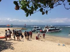 -FINNS Beach Club