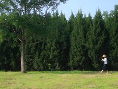 -汉长安城未央宫国家考古遗址公园