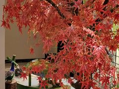 -汤里来温泉