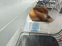 -NOTBAD 须时·咖啡馆