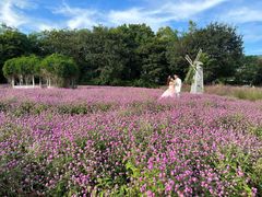 -玫瑰海岸文化旅游度假区