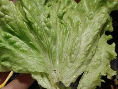 -喜鹊烤肉酒场(美乐城店)