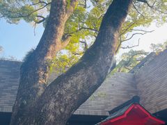 -来宫神社