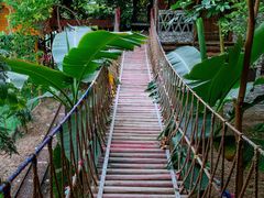 -呀路古热带植物园