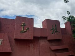 -元谋土林景区(物茂土林)